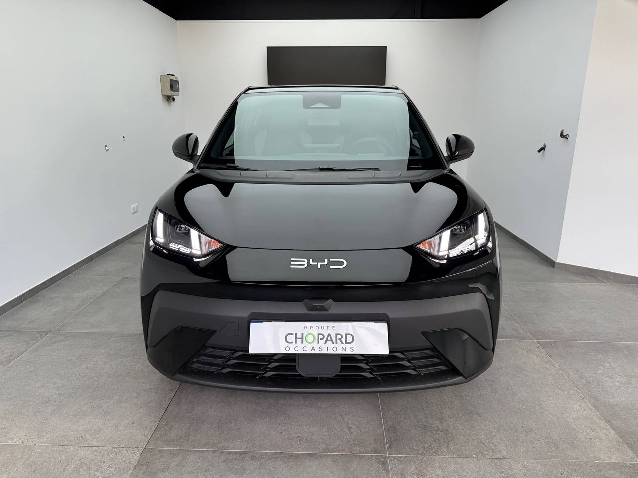 BYD Dolphin Surf  43.2 kwh 156 ch Comfort