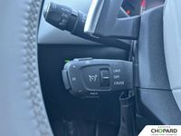 DS Ds 3 Crossback ds3 crossback puretech 130 eat8 Rivoli
