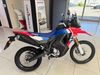 Honda CRF CRF 300 RALLY