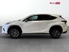 Lexus NX 300 F SPORT