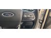 Ford TERRITORY 1.8T TREND