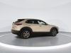 Mazda CX-30 2.5 e-Skyactiv G MHEV [140] Takumi 5dr Auto
