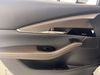 Mazda CX-30 2.5 e-Skyactiv G MHEV [140] Takumi 5dr Auto