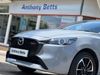 Mazda 2 1.5 e-Skyactiv G MHEV Homura Aka 5dr