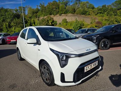 2025 KIA Picanto