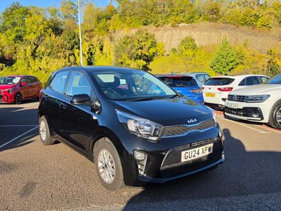 2024 KIA Picanto