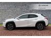 Lexus UX 2.0 250h Premium Plus SUV 5dr Petrol Hybrid E-CVT Euro 6 (s/s) (184 ps)