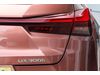 Lexus UX 2.0 300h F Sport Takumi E-CVT Euro 6 (s/s) 5dr