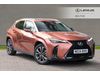Lexus UX 2.0 300h F Sport Takumi E-CVT Euro 6 (s/s) 5dr