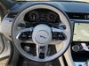 Jaguar F-PACE F-PACE P250 R-DYNAMIC S