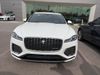 Jaguar F-PACE F-PACE P250 R-DYNAMIC S