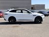 Jaguar F-PACE F-PACE P250 R-DYNAMIC S