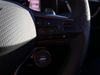 Cupra Formentor 2.0 TSI 310 VZ3 5dr DSG 4Drive