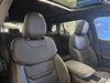 Ford TERRITORY 1.8L EcoBoost Auto Dark Edition