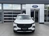 Ford TERRITORY 1.8L Trend 7AT