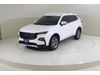 Ford TERRITORY TER2124 TERRITORY TREND FWD 1.8L GTDI AT VINYL