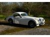 Jaguar XK120 Coupe