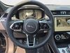 Jaguar F-PACE F-PACE P250 R-DYNAMIC S