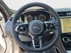 Jaguar F-PACE F-PACE P250 R-DYNAMIC S