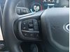 Ford EVEREST 3.0D V6 PLATINUM AWD A/T