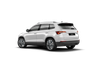 skoda KAROQ SKODA Karoq SE Edition 1.5 TSI 150 PS DSG