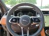 Jaguar F-PACE F-PACE P250 R-DYNAMIC S