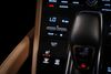 Porsche Cayenne E-Hybrid Platinum Edition 5dr Tiptronic S