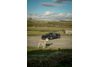 Lotus Emira 3.5 V6 First Edition 2dr Auto