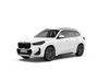 BMW X1 X1 sDrive20i Luxury M Sport Package