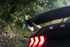 Ford MUSTANG 5.0 V8 GT 2dr Auto