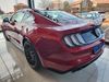 Ford MUSTANG Ford Mustang 5.0 GT Fastback