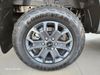 Ford N/A Ford Ranger Wildtrak 2.0L BiT D-Cab 4x2 10AT