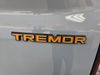 Ford N/A Ford Ranger 3.0D V6 Tremor A/T 4X4 Double Cab