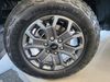 Ford N/A Ford Ranger Wildtrak 2.0L BiT D-Cab 4x2 10AT
