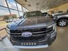 Ford N/A Ford Ranger Wildtrak 2.0L BiT D-Cab 4x2 10AT
