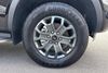 Ford Ranger 3.0 TD V6 EcoBlue Wildtrak Pickup Double Cab 4dr Diesel Auto 4WD Euro 6 (s/s) (240 ps)