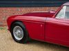 Aston Martin DB Mk III Drop Head Coupe - DBD