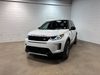 LAND ROVER Discovery Sport Discovery Sport Landmark