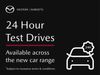 Mazda 3 2.5 e-SKYACTIV-G MHEV Homura Auto Euro 6 (s/s) 5dr