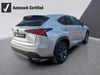 Lexus NX 300 F SPORT