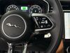 Jaguar F-PACE F-PACE P250 R-DYNAMIC S