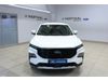 Ford TERRITORY TERRITORY AMBIENTE 1.8L ECOBOOST A/T