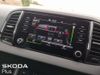 sKODA KAROQ AMBITION 1.0 TSI 110HP 5