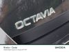 sKODA OCTAVIA SE 1.5 TSI 115HP DSG