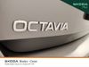 sKODA OCTAVIA SE 2.0 TDI 115HP