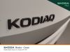 sKODA KODIAQ 7S SPORT 2.0 TDI 150HP D DSG 5DR