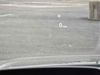 LAND ROVER Discovery Sport S