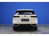 Ford TERRITORY SBQA Ambiente 1.8L EcoBoost 7AT