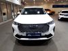 HAVAL H6 H6 2.0T LUXURY DCT