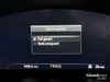 Ford Focus Ford Focus Focus St-Line X Auto